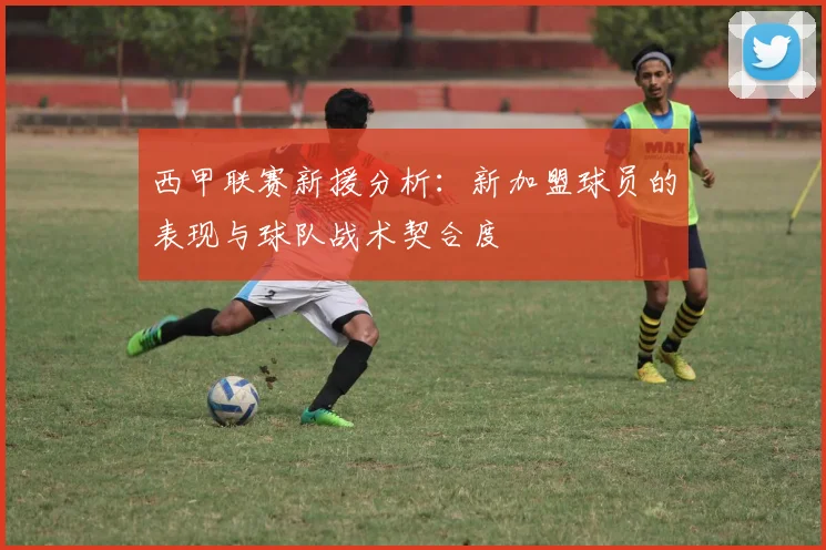 西甲联赛新援分析：新加盟球员的表现与球队战术契合度