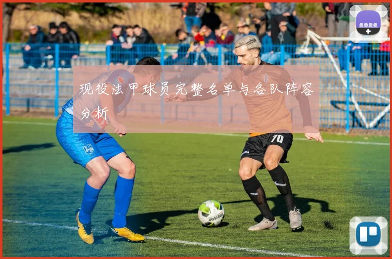 现役法甲球员完整名单与各队阵容分析
