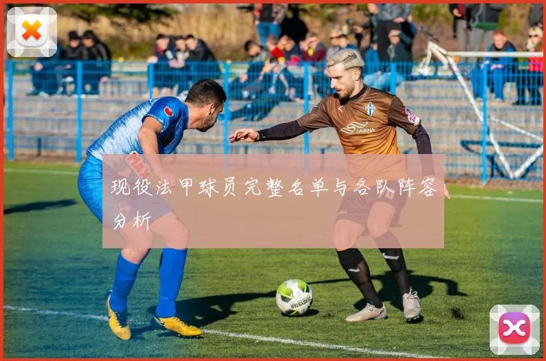 现役法甲球员完整名单与各队阵容分析