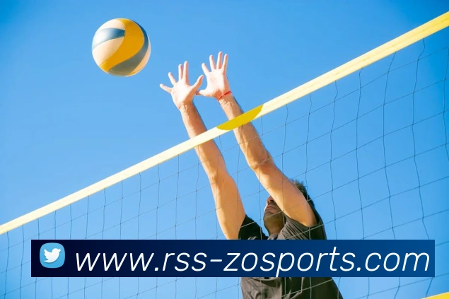 中欧体育平台生态图